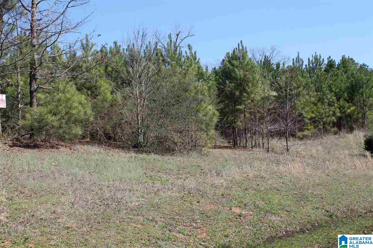 0 Teem Road, Unit 7 Cullman, AL 35057 - Photo 4 of 5