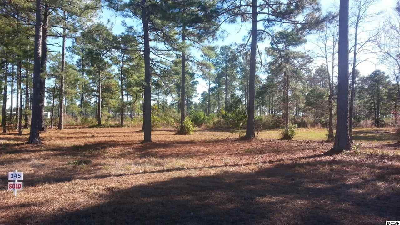 Lot 345 Fiddleway Way Myrtle Beach, SC 29579 - Photo 3 of 11 Gallery Image 3