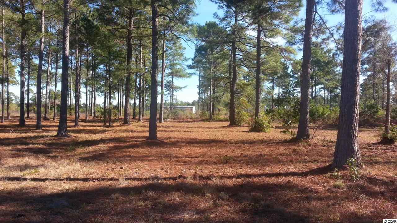 Lot 345 Fiddleway Way Myrtle Beach, SC 29579 - Photo 4 of 11 Gallery Image 4