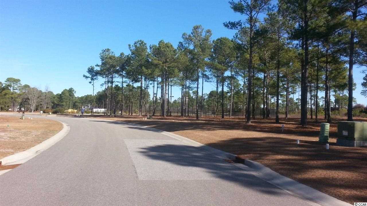 Lot 345 Fiddleway Way Myrtle Beach, SC 29579 - Photo 8 of 11 Gallery Image 8