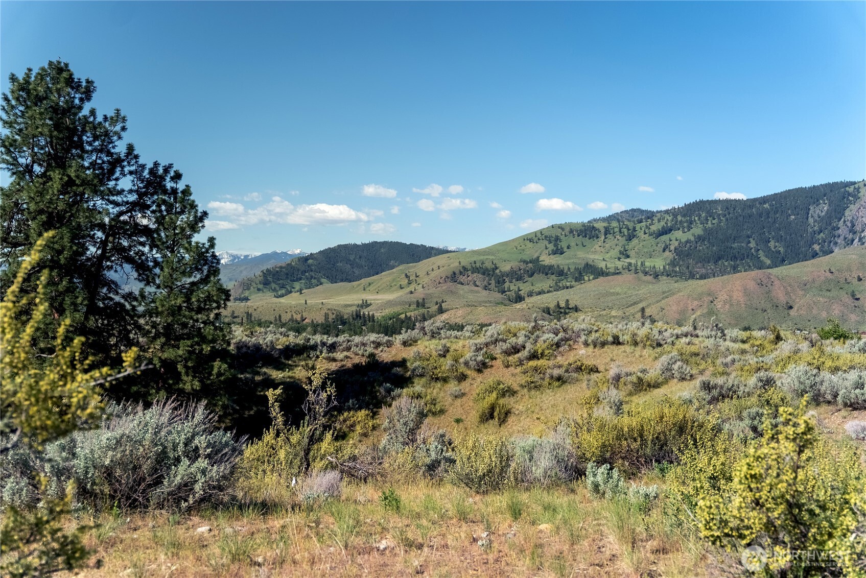48 Thurlow Road Twisp, WA 98856 - Photo 10 of 40 Gallery Image 10