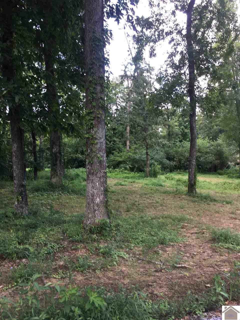 182 Irvin Cobb Road, Unit 1 AND 3 Murray, KY 42071 - Photo 1 of 1 Wooded lot