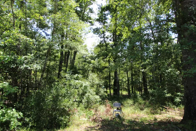 $195,000 | 131 Gloverville Lane, Round O, SC 29474