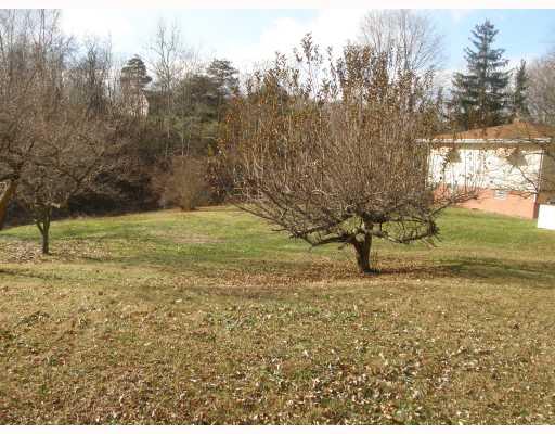 1073 Dale Road Jefferson Hills, PA 15332 - Photo 3 of 16 Exterior Back.