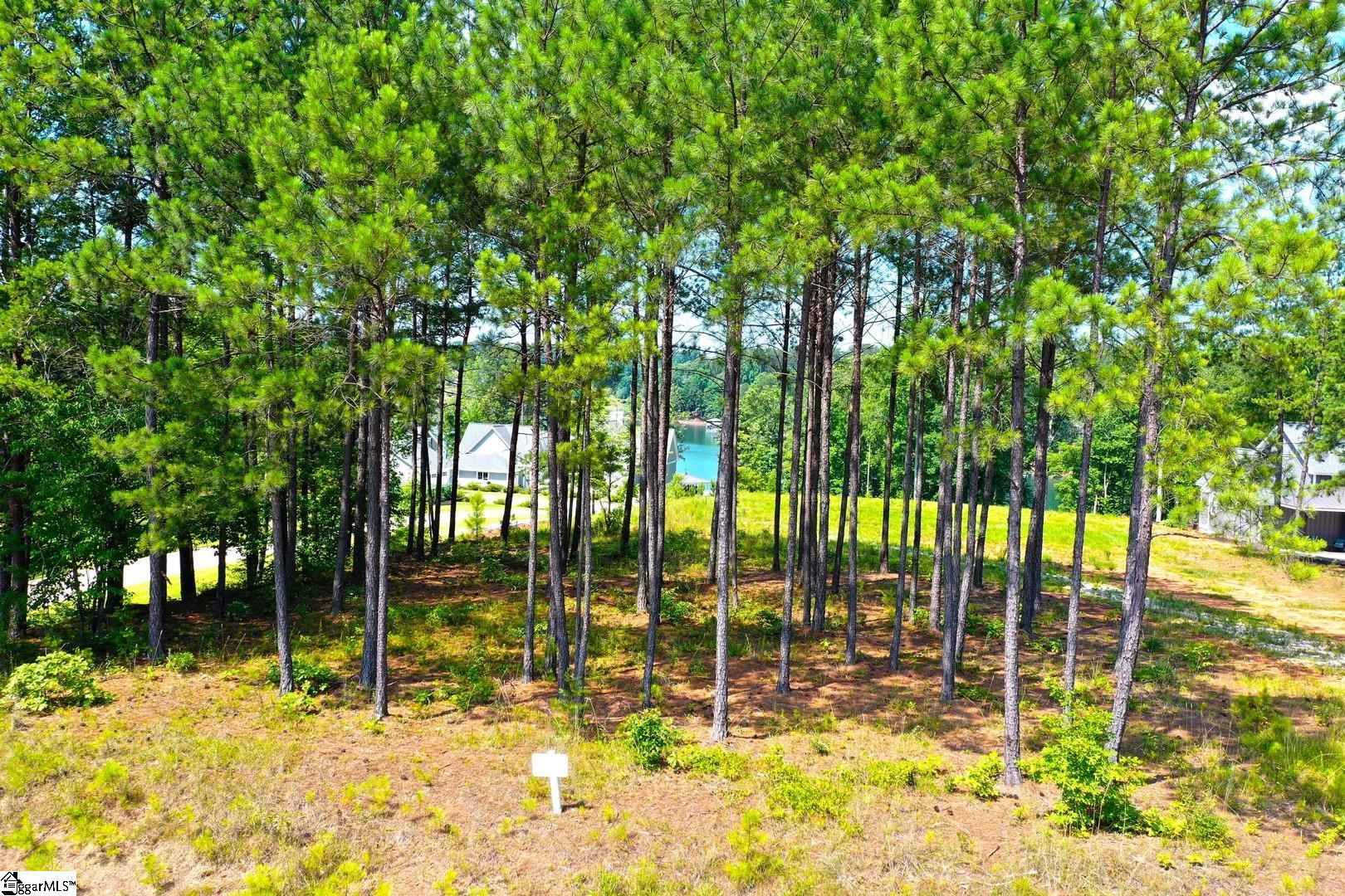 322 McAlister Road West Union, SC 29696 - Photo 29 of 36