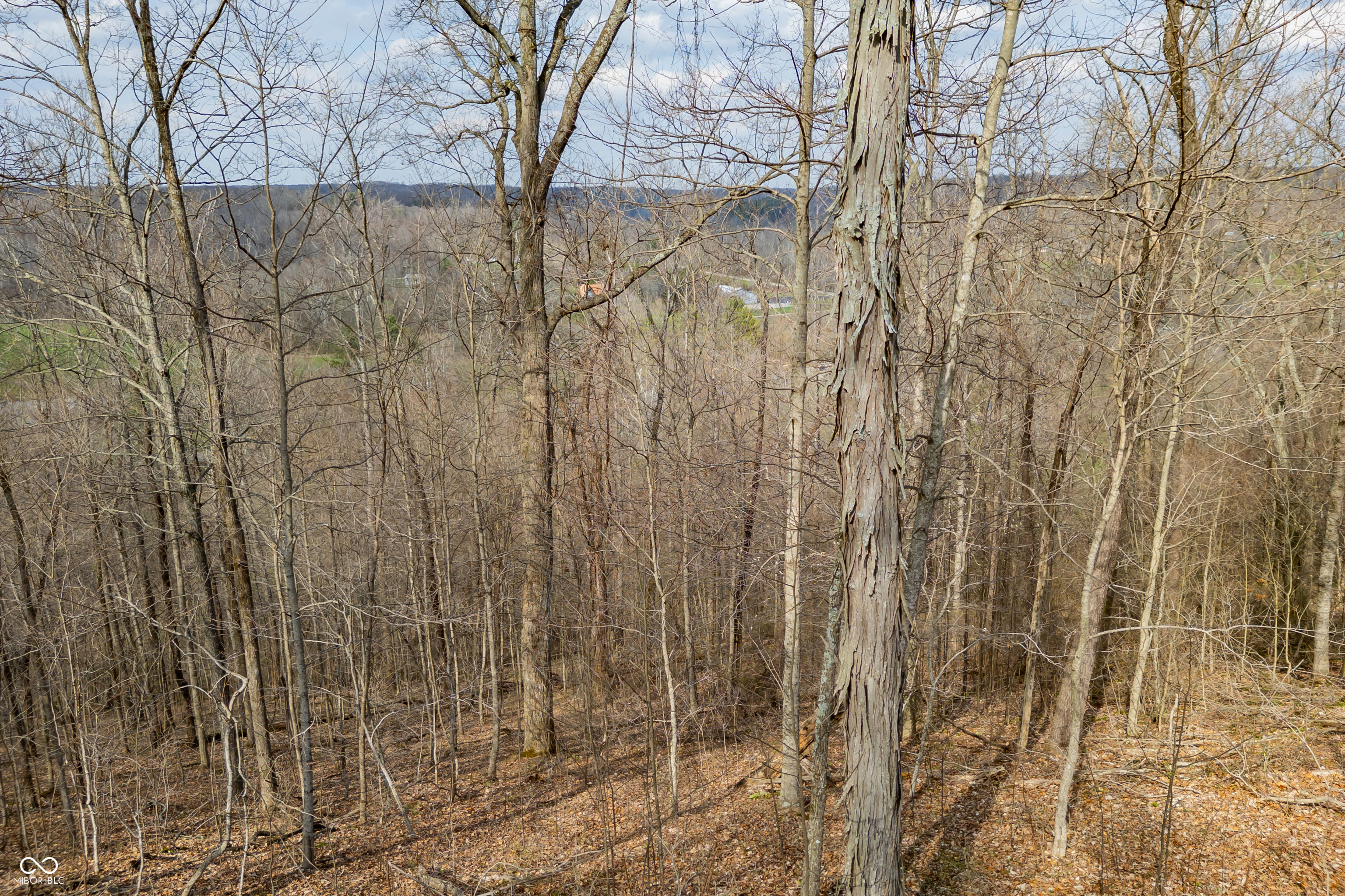 4414 Salt Creek Road Nashville, IN 47448 - Photo 8 of 13