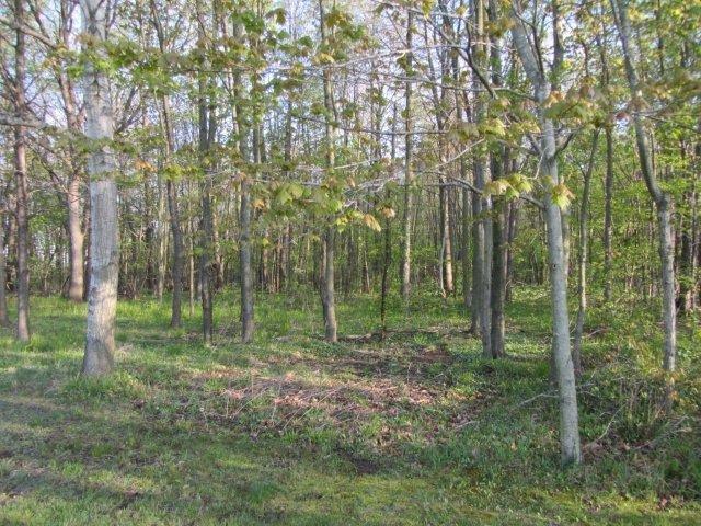 13710 Goodrich Road Ravenna, MI 49451 - Photo 16 of 17 Additional Photo