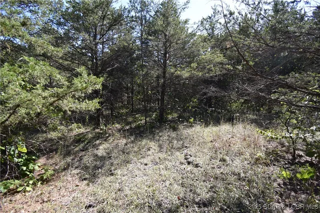 $18,000 | 296-299 Hiawatha Lane, Rocky Mount, MO 65072