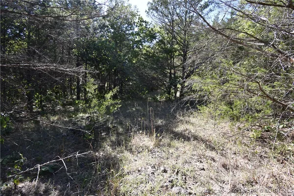 $18,000 | 296-299 Hiawatha Lane, Rocky Mount, MO 65072