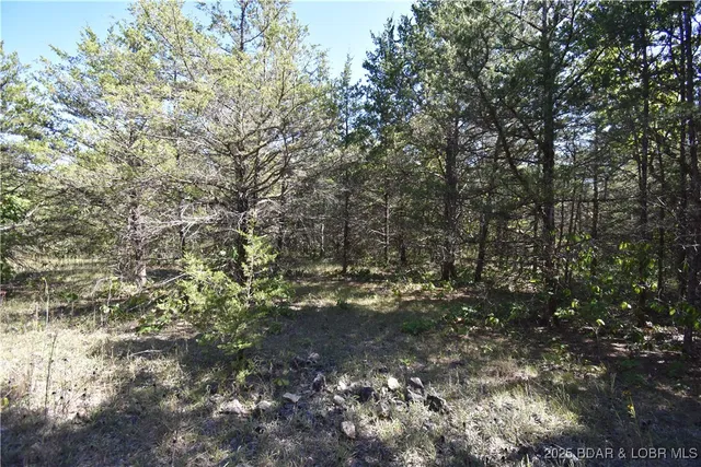 $18,000 | 296-299 Hiawatha Lane, Rocky Mount, MO 65072