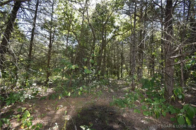 $18,000 | 296-299 Hiawatha Lane, Rocky Mount, MO 65072