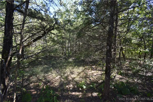 $18,000 | 296-299 Hiawatha Lane, Rocky Mount, MO 65072