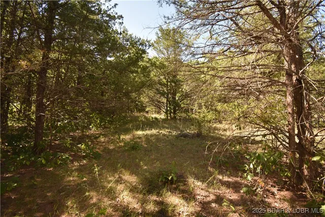 $18,000 | 296-299 Hiawatha Lane, Rocky Mount, MO 65072