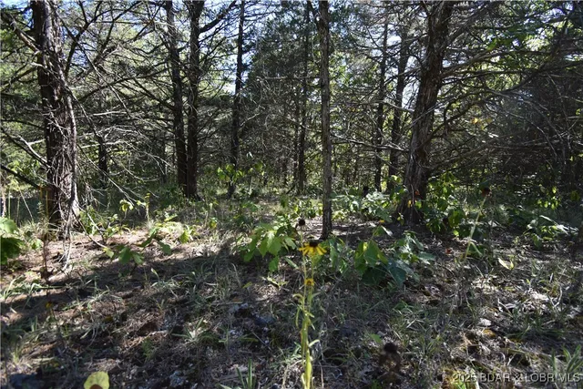 $18,000 | 296-299 Hiawatha Lane, Rocky Mount, MO 65072