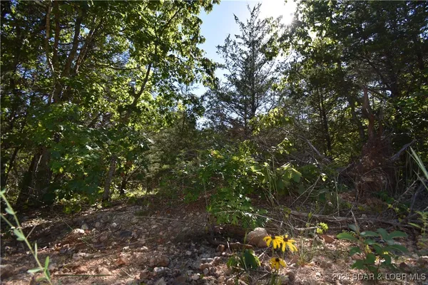$18,000 | 296-299 Hiawatha Lane, Rocky Mount, MO 65072