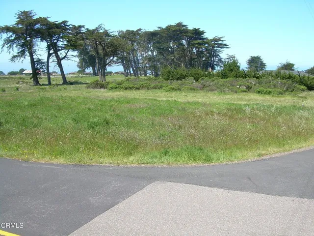 a view of a field with trees in background