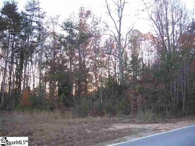 0 Pleasant Retreat Road Travelers Rest, SC 29690 - Photo 3 of 4