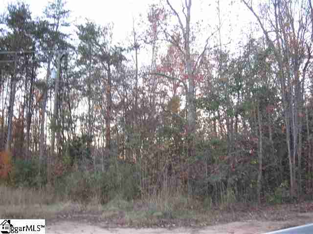 0 Pleasant Retreat Road Travelers Rest, SC 29690 - Photo 4 of 4