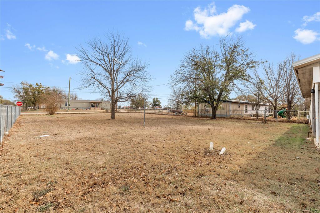 309 Goodwin Street Bangs, TX 76823 - Photo 15 of 20 View of yard