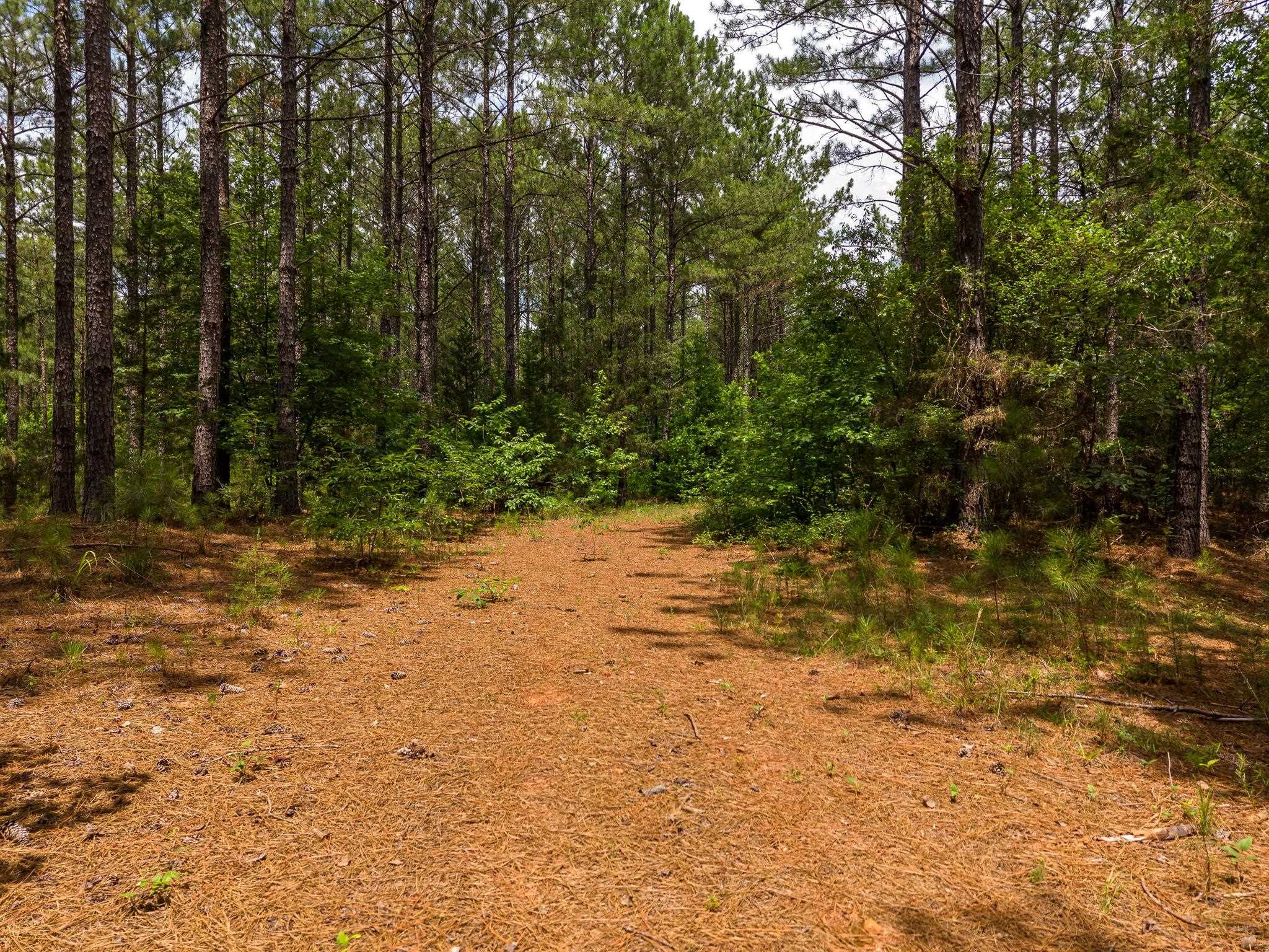 1 Quail Hollow Road Sharon, SC 29742 - Photo 13 of 27