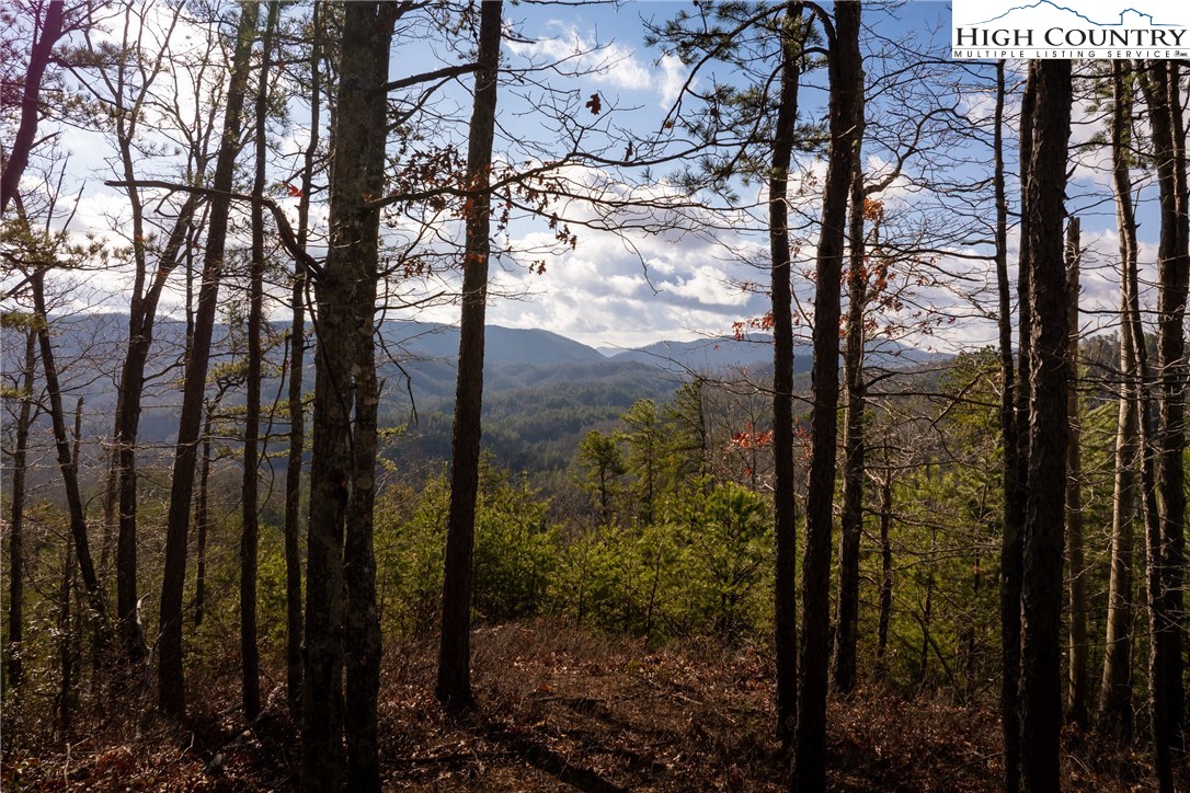 1320 Roundleaf Lane Ferguson, NC 28624 - Photo 2 of 50