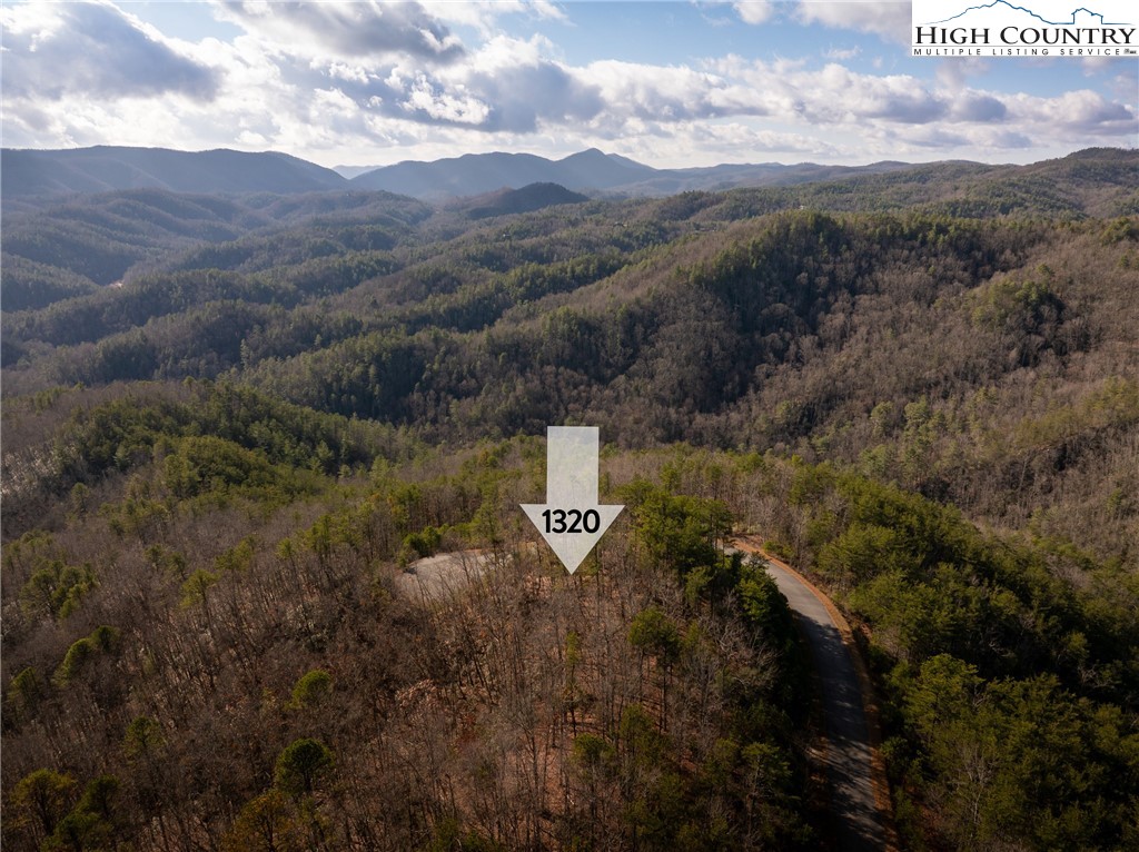 1320 Roundleaf Lane Ferguson, NC 28624 - Photo 5 of 50