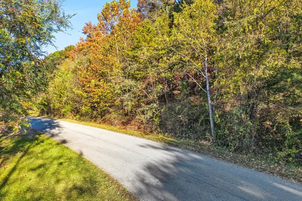 a view of a yard with a trees