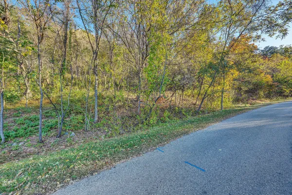 a view of a yard with large trees