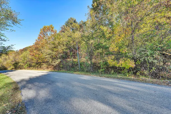 a view of a field with a trees