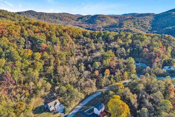 a view of a city with a mountain