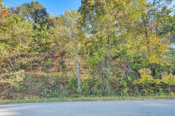 a view of a yard with plants and wooden fence