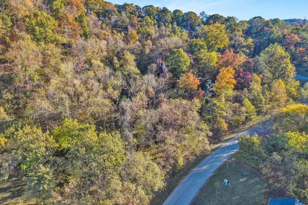a view of a yard with a tree