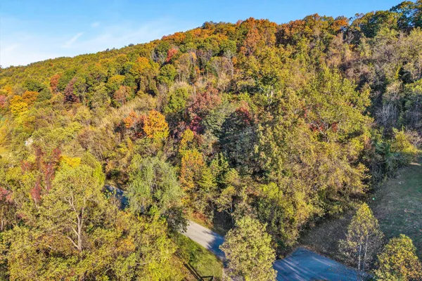 a view of a large yard