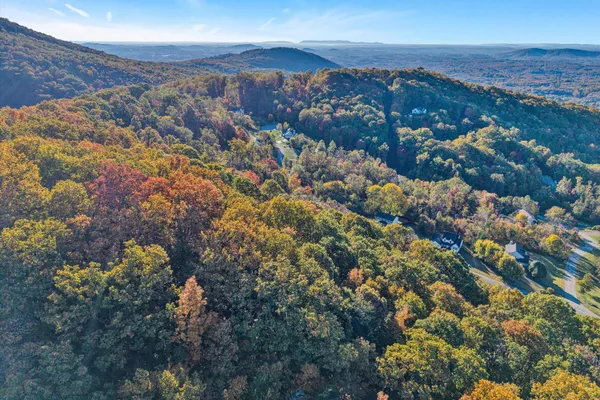 a view of city and mountain