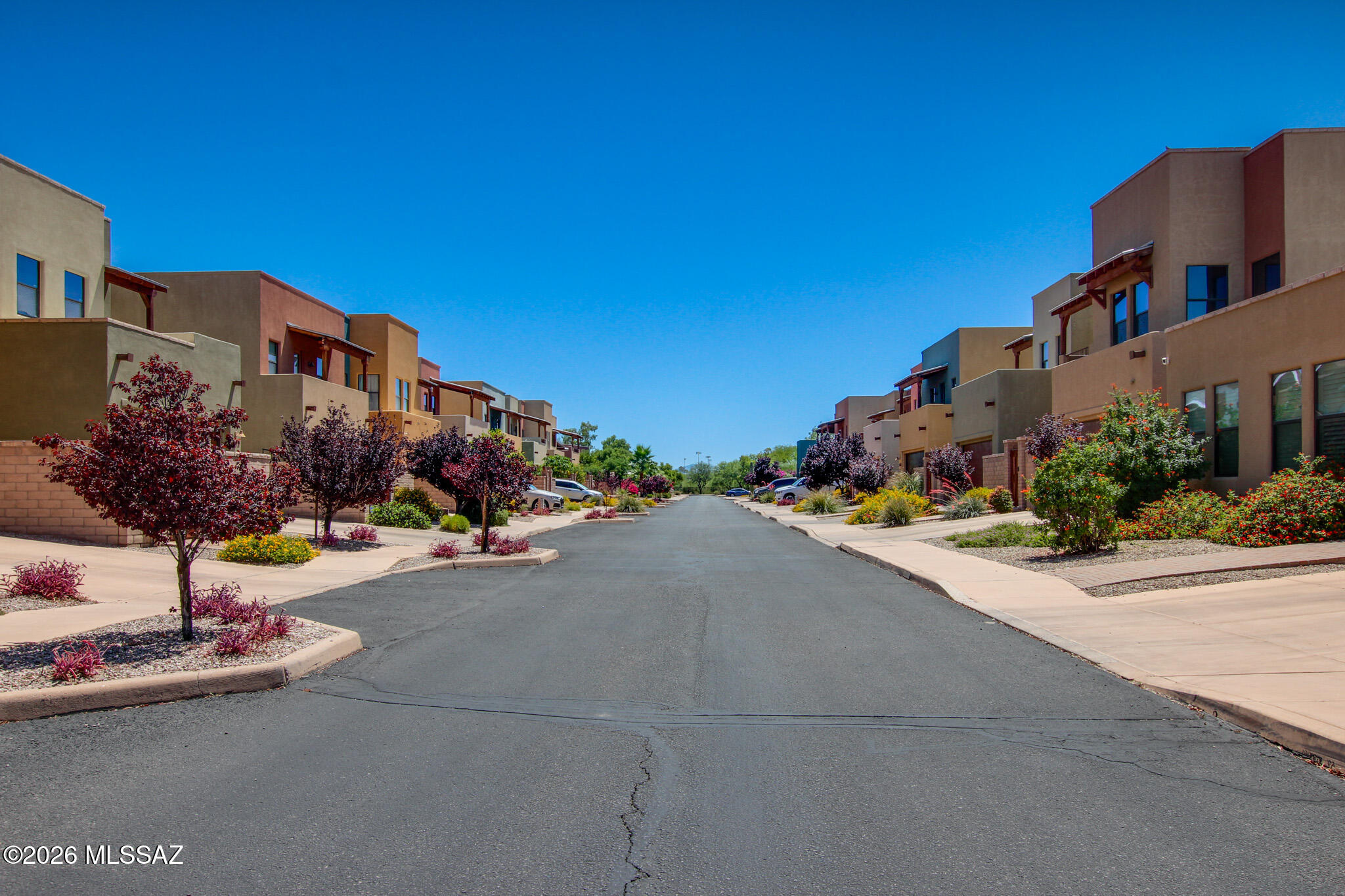 383 East Croydon Park Road Tucson, AZ 85704 - Photo 10 of 50