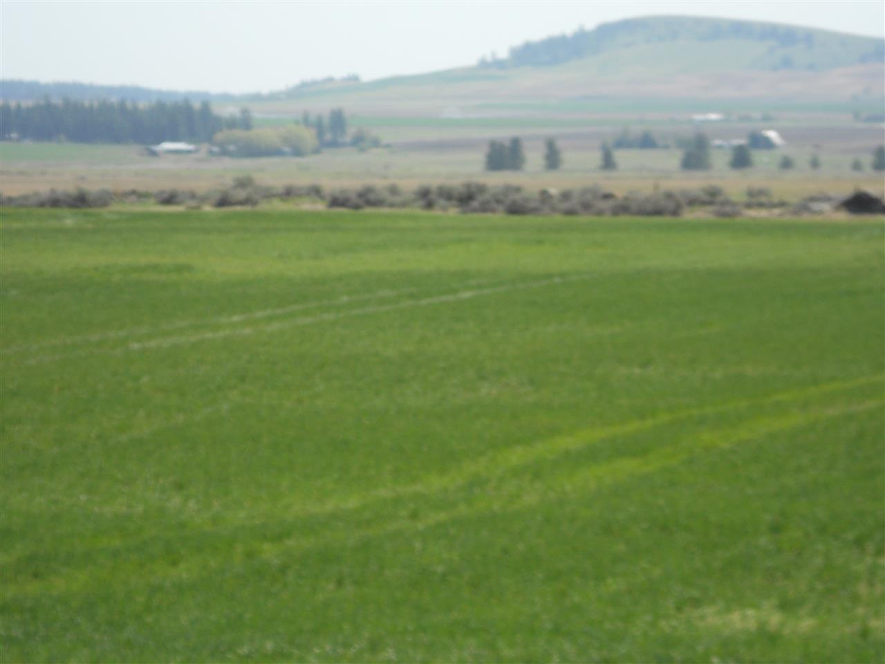 0 West State Rte 2 Reardan, WA 99029 - Photo 2 of 15