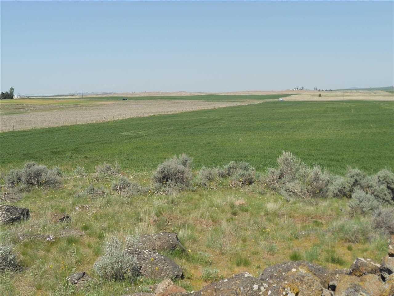 0 West State Rte 2 Reardan, WA 99029 - Photo 11 of 15
