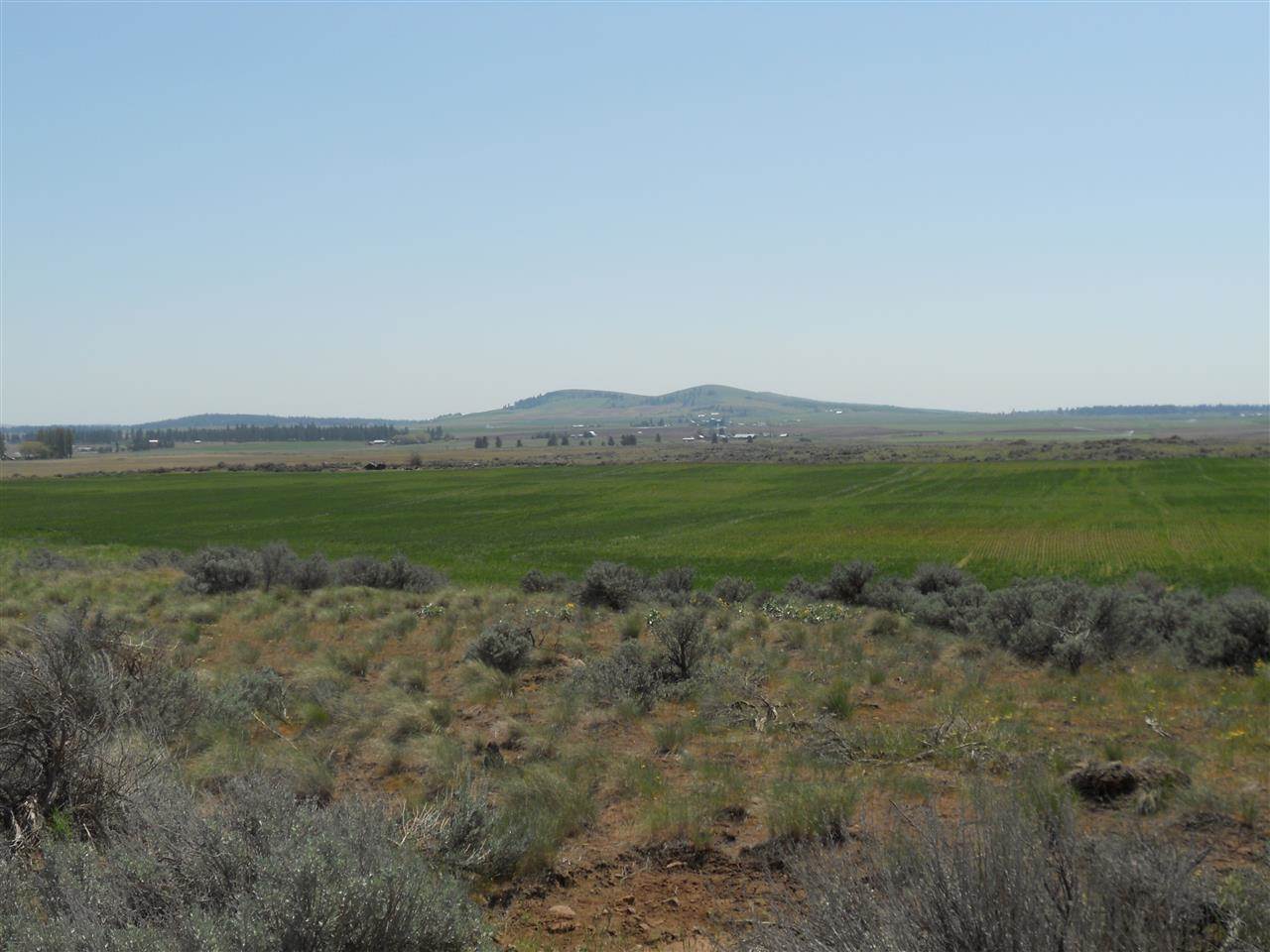 0 West State Rte 2 Reardan, WA 99029 - Photo 12 of 15