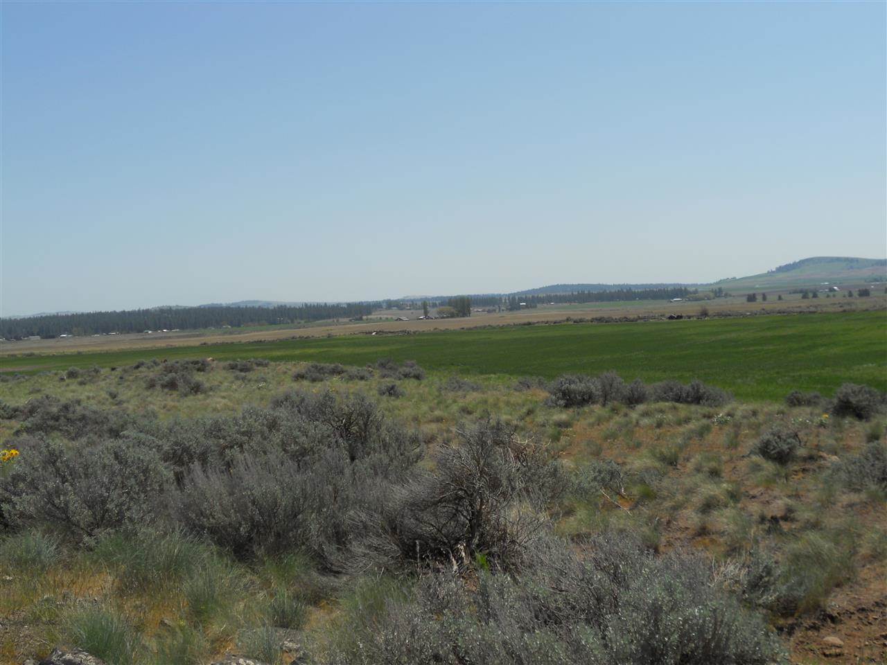 0 West State Rte 2 Reardan, WA 99029 - Photo 13 of 15