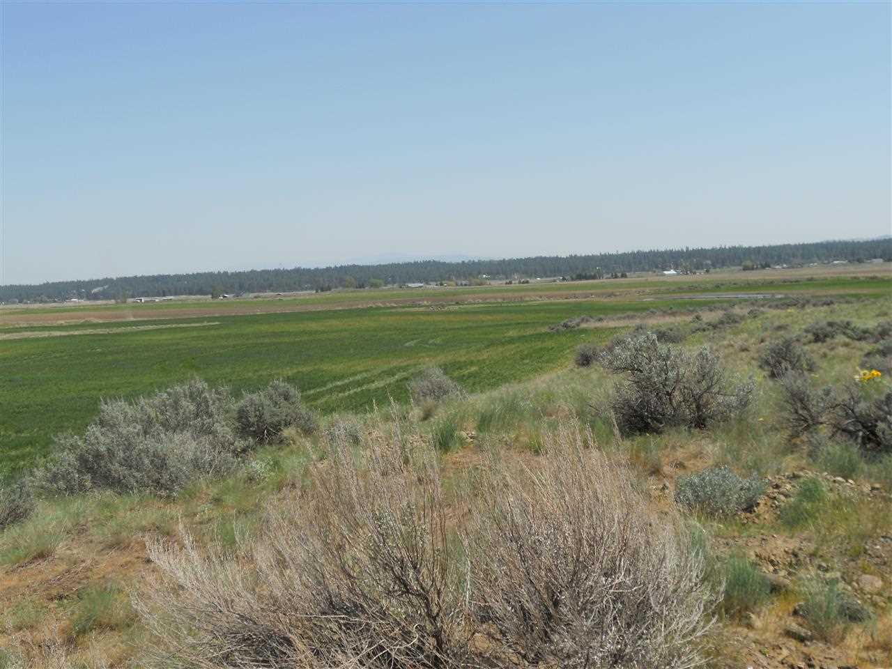 0 West State Rte 2 Reardan, WA 99029 - Photo 14 of 15