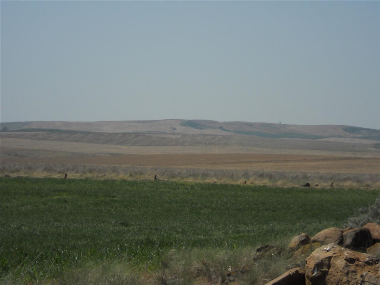 0 West State Rte 2 Reardan, WA 99029 - Photo 3 of 15