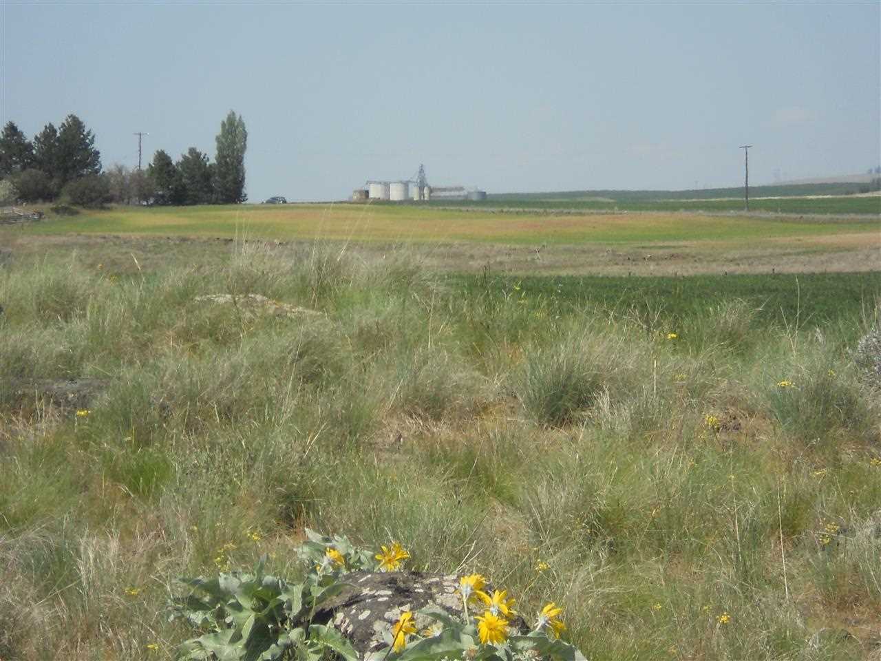 0 West State Rte 2 Reardan, WA 99029 - Photo 4 of 15