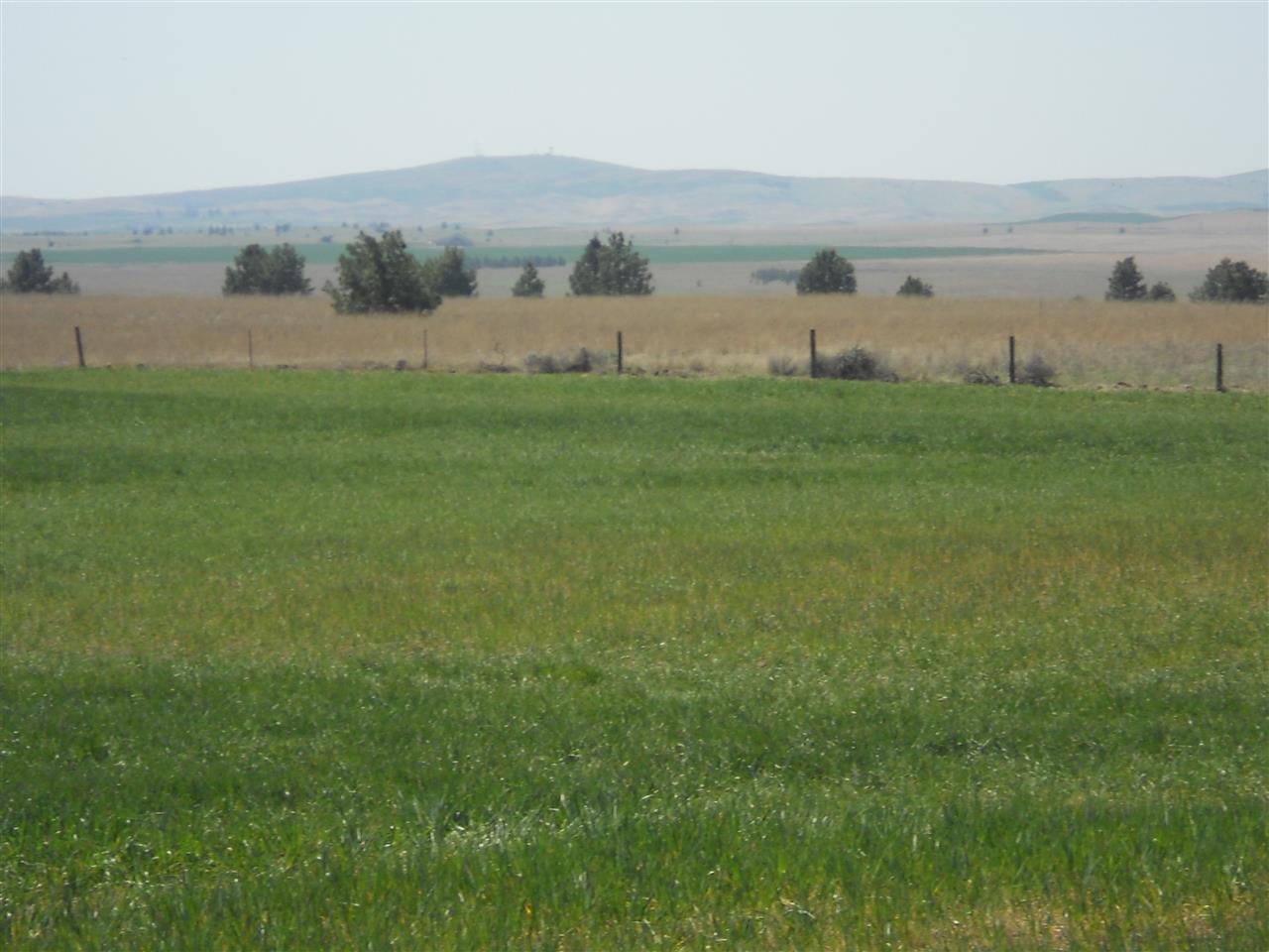 0 West State Rte 2 Reardan, WA 99029 - Photo 5 of 15