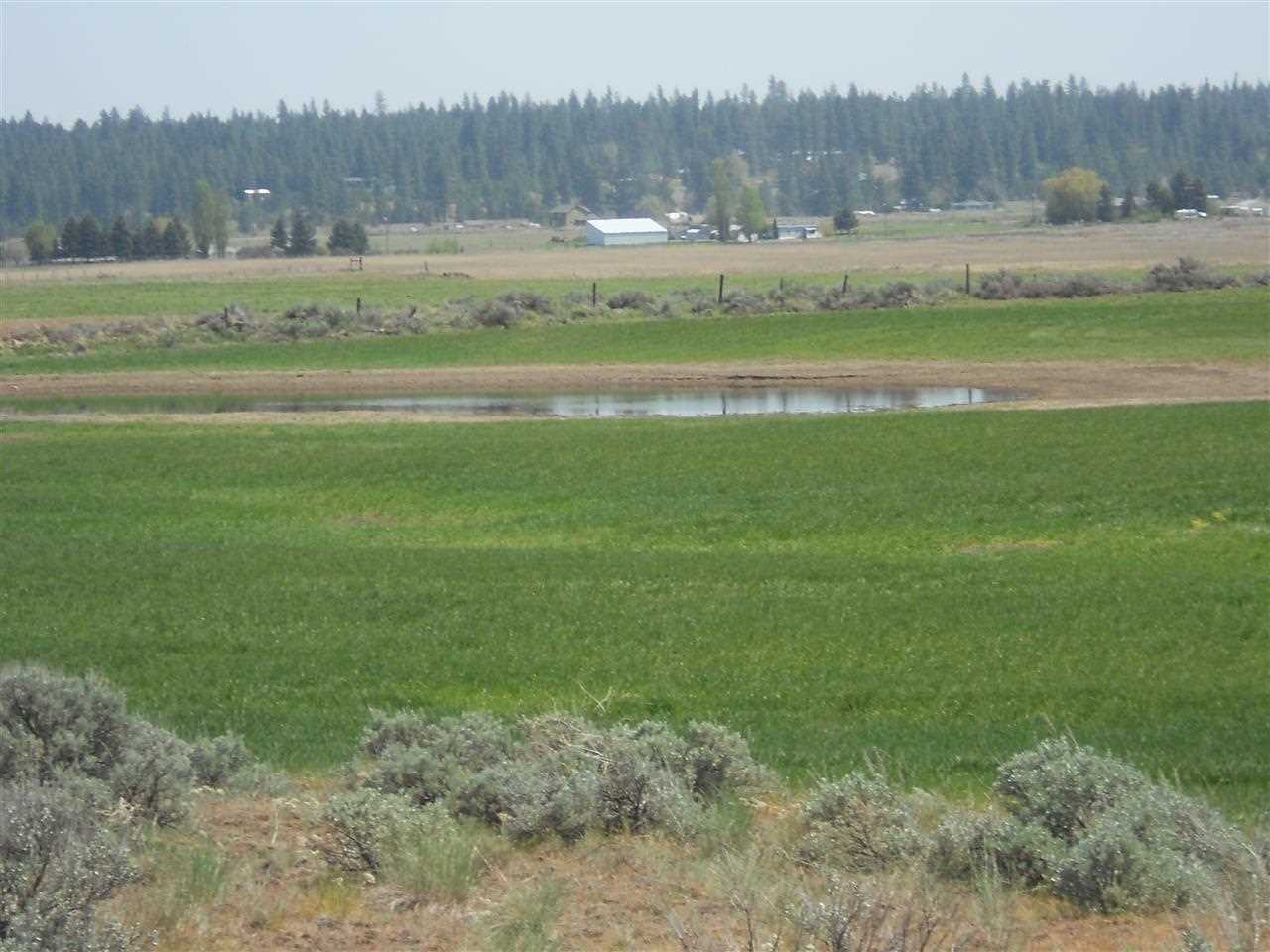 0 West State Rte 2 Reardan, WA 99029 - Photo 6 of 15