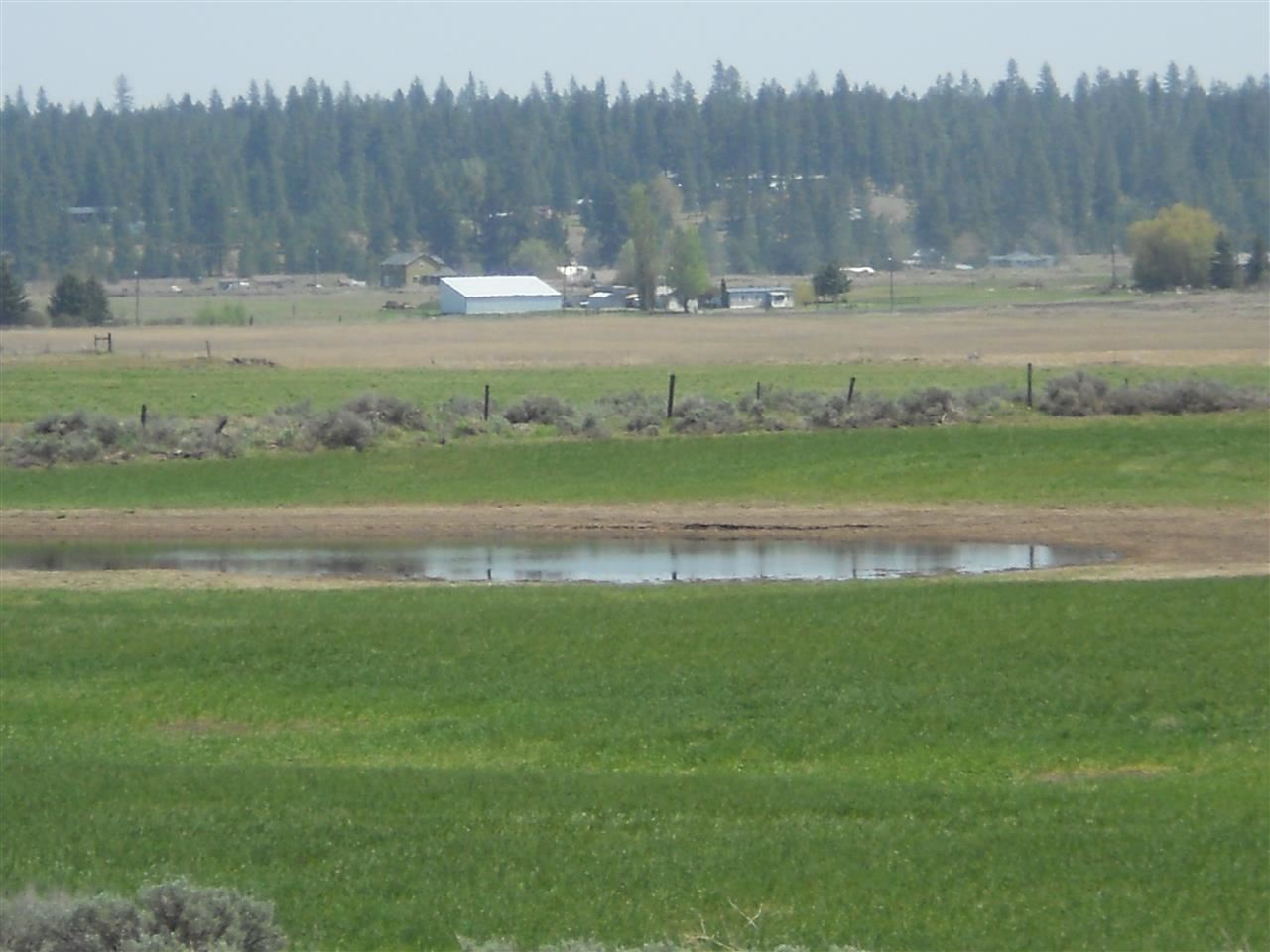 0 West State Rte 2 Reardan, WA 99029 - Photo 7 of 15