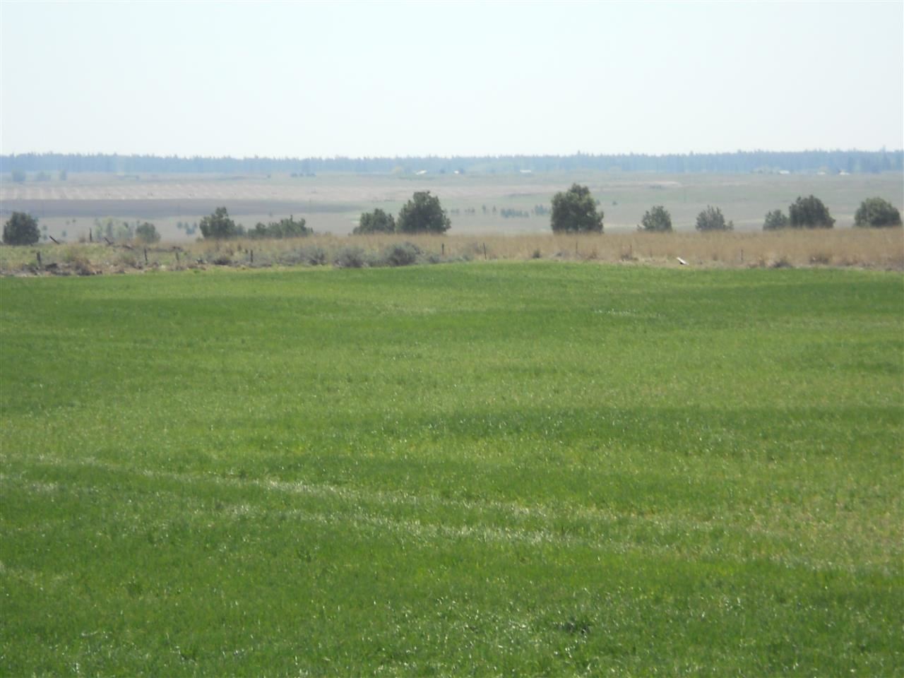 0 West State Rte 2 Reardan, WA 99029 - Photo 8 of 15