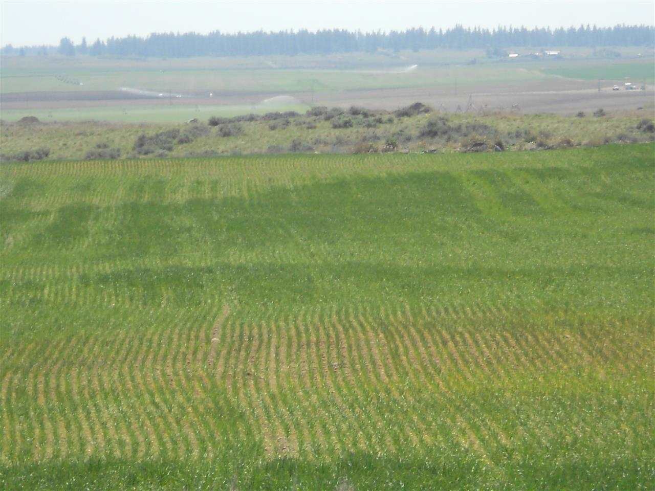 0 West State Rte 2 Reardan, WA 99029 - Photo 9 of 15