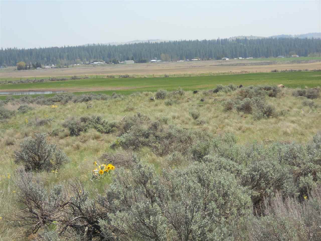 0 West State Rte 2 Reardan, WA 99029 - Photo 10 of 15