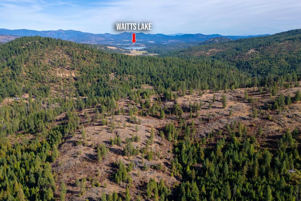 3401 Red Marble Road Valley, WA 99181 - Photo 4 of 49