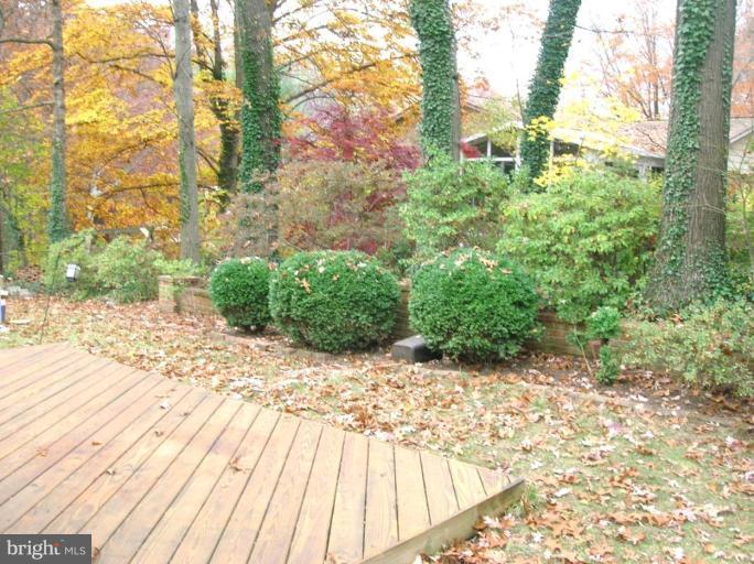 10705 Glenwild Road Silver Spring, MD 20901 - Photo 3 of 14 Deck